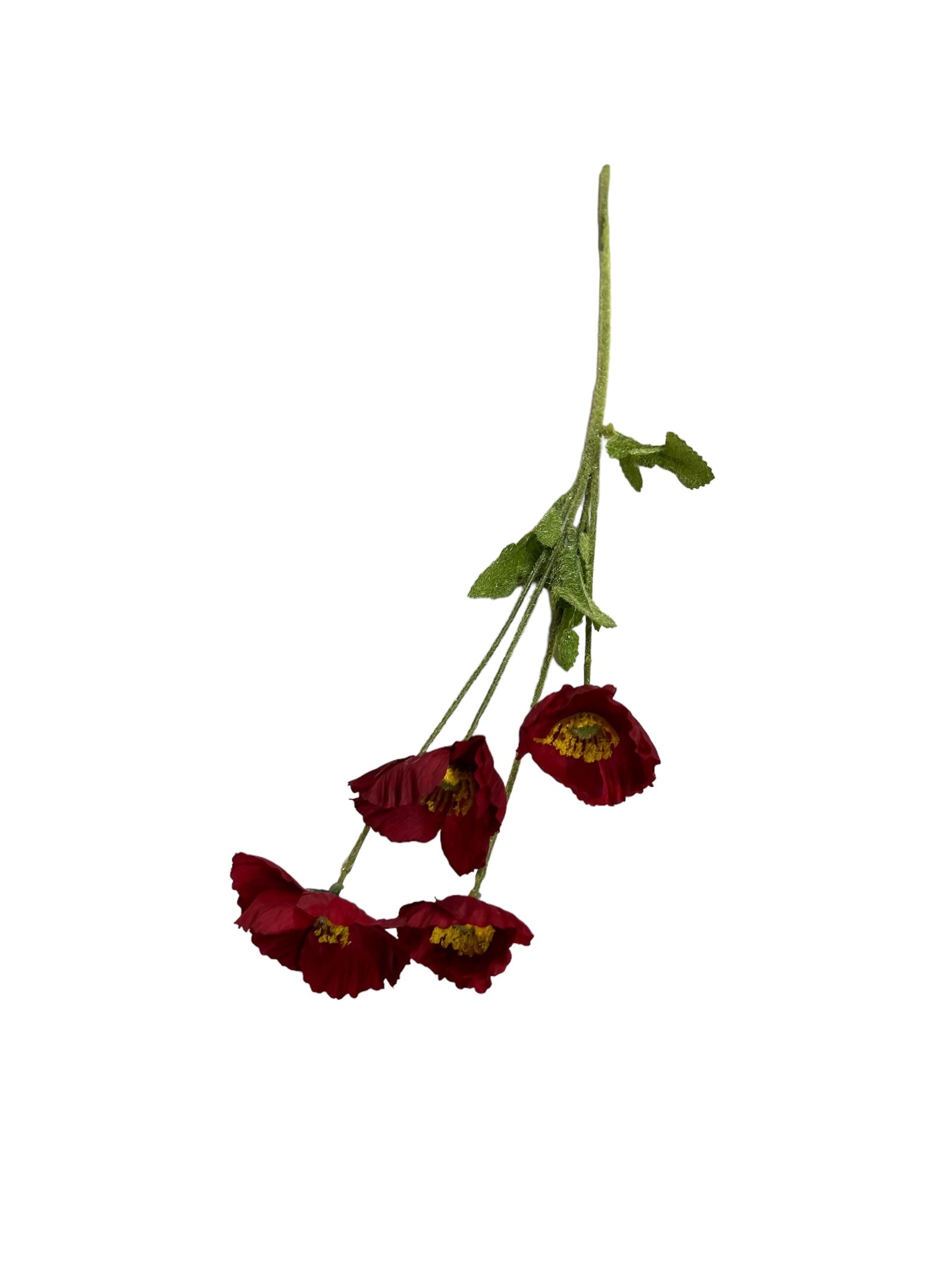 Photoroom_20240523_145015