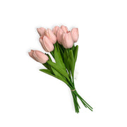 Photoroom_20251209_123305