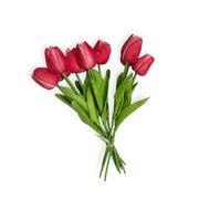 Photoroom_20251209_123832