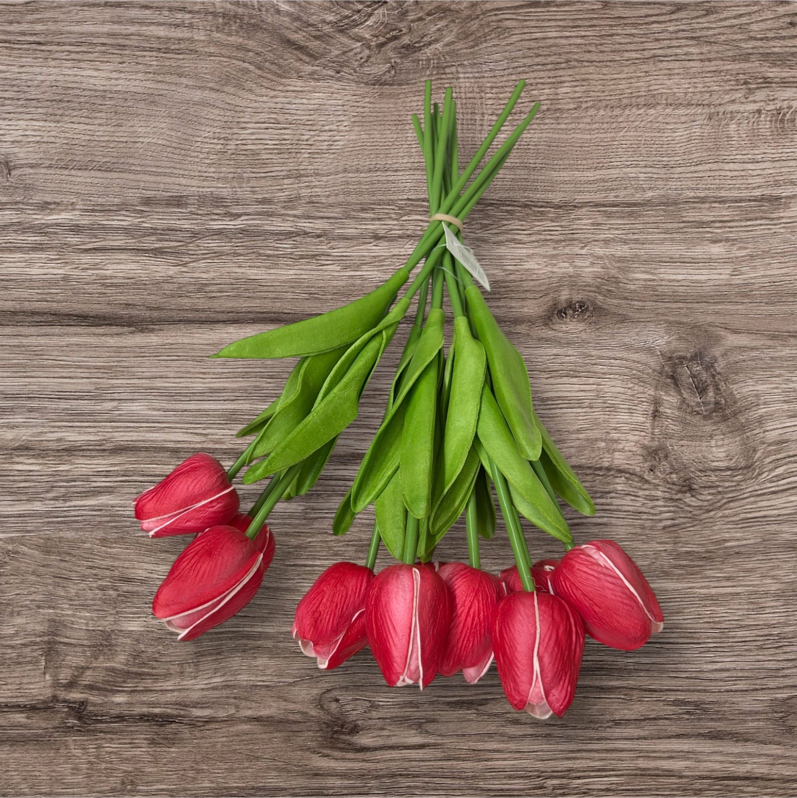 Photoroom_20251209_123926