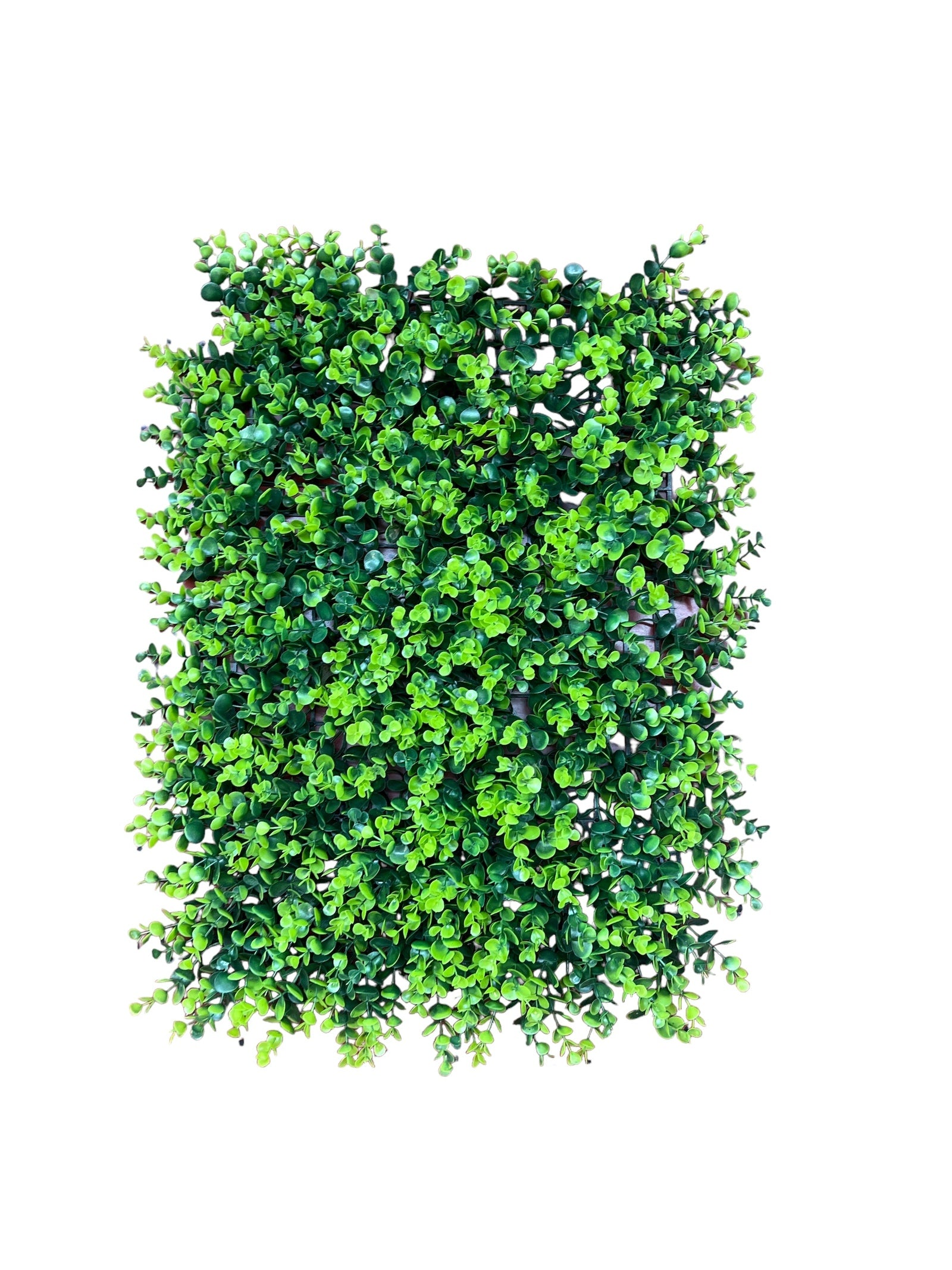 Photoroom_20240815_130540