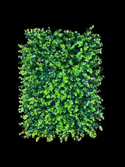 Photoroom_20240815_130608