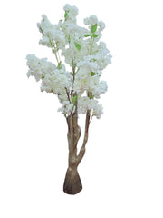 IMG_2586379834537741574