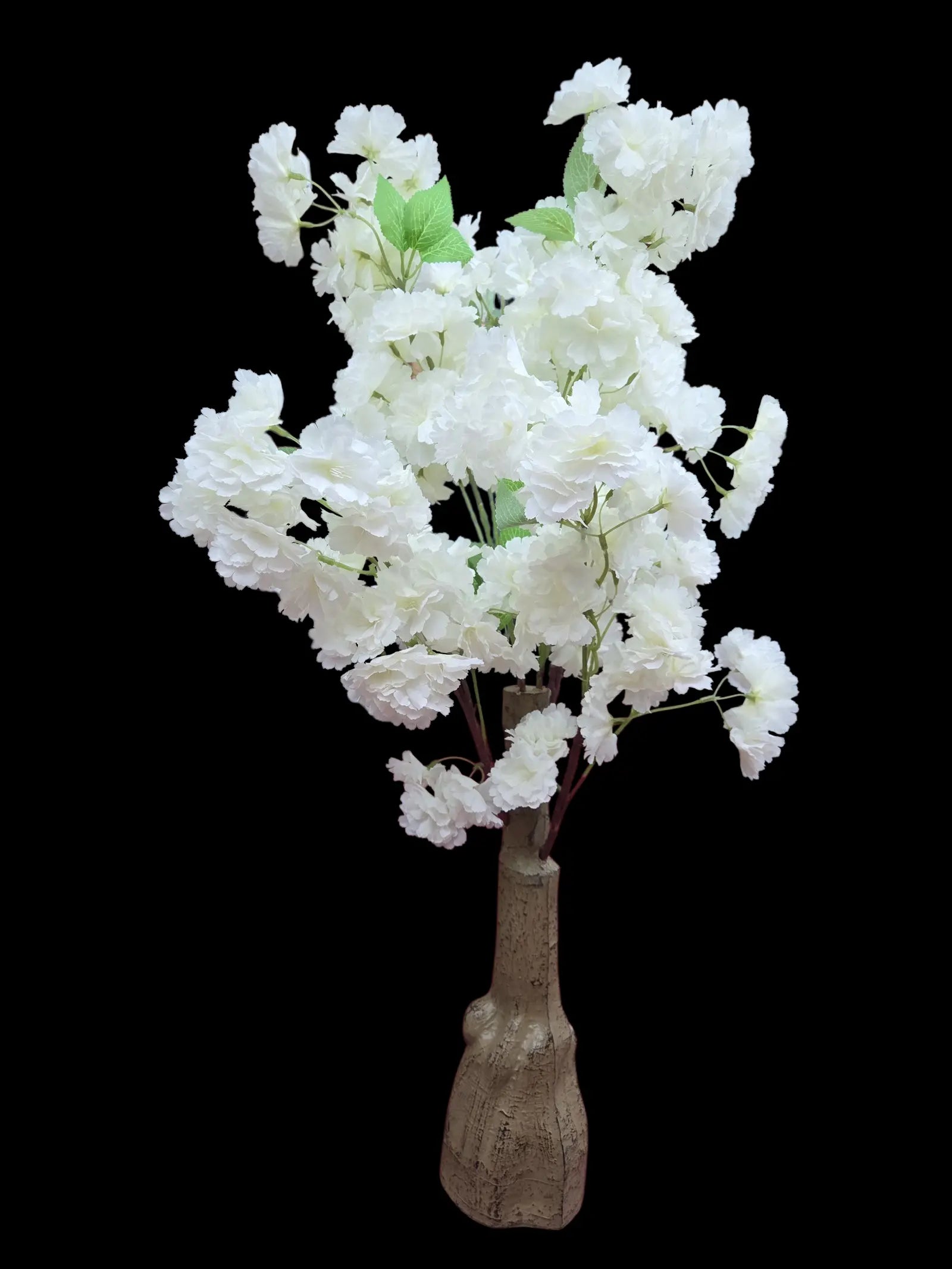 IMG_7501395984517193127 (1)