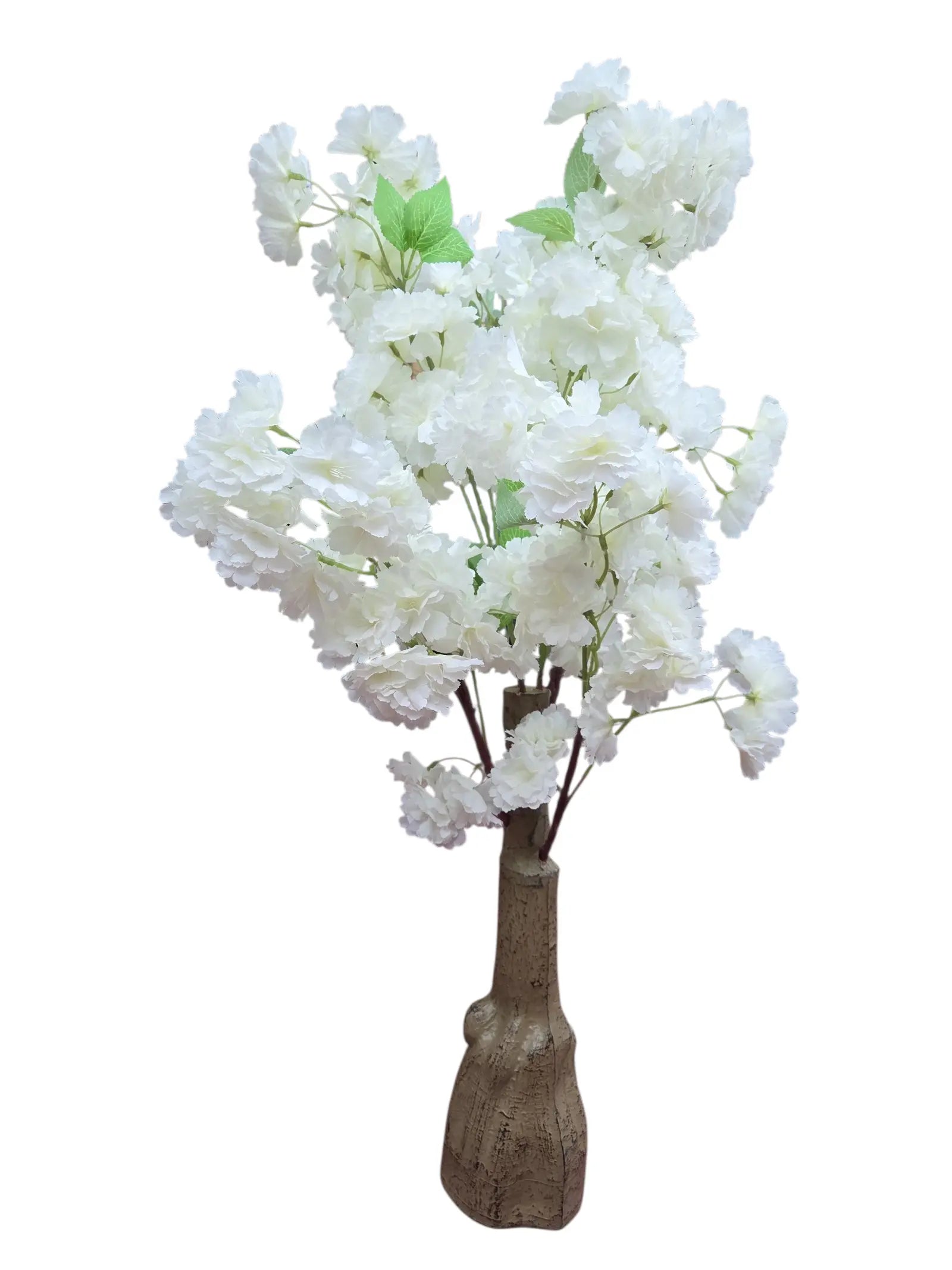 IMG_7501395984517193127