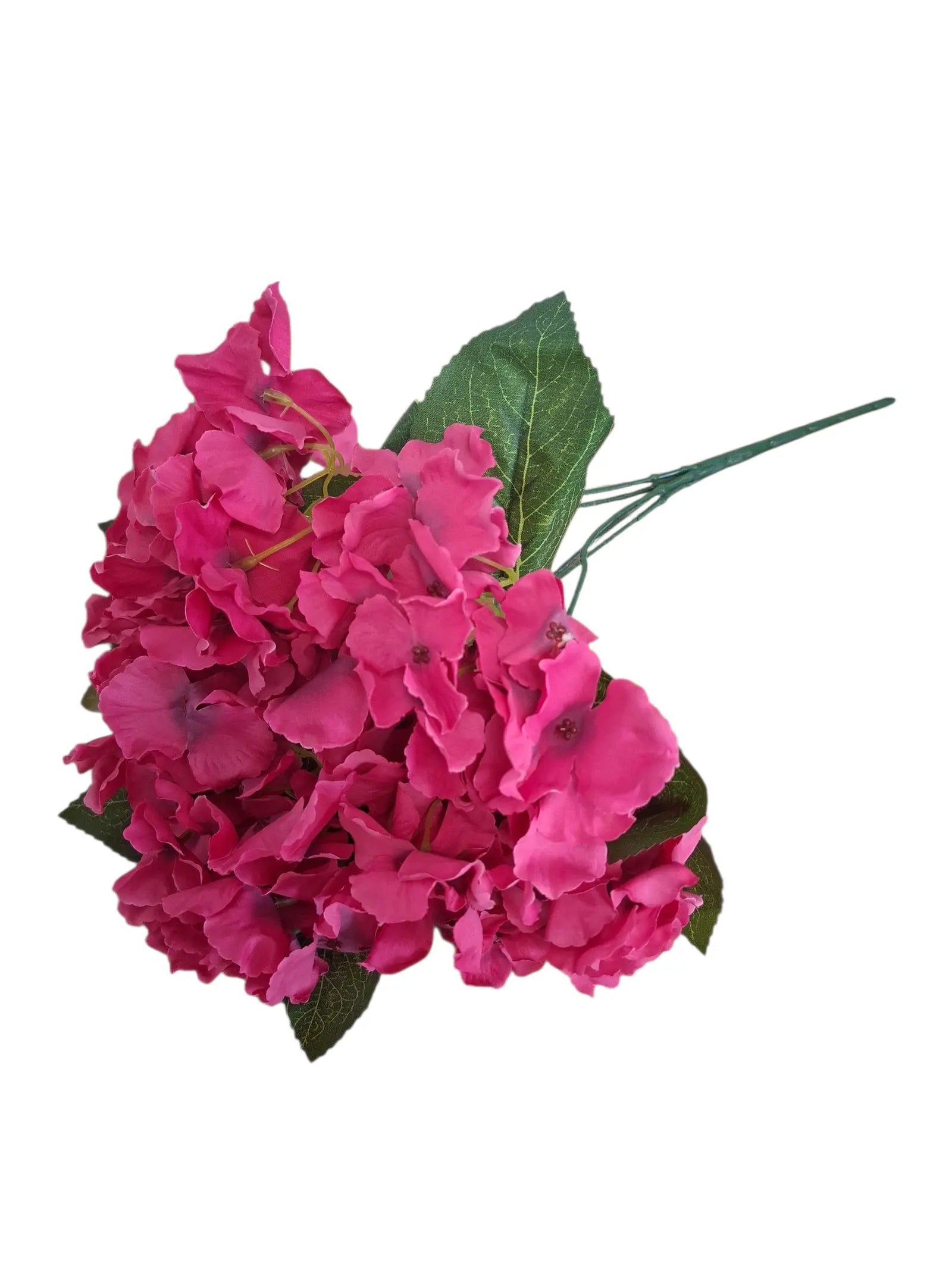 IMG_3062885356917171330[1]