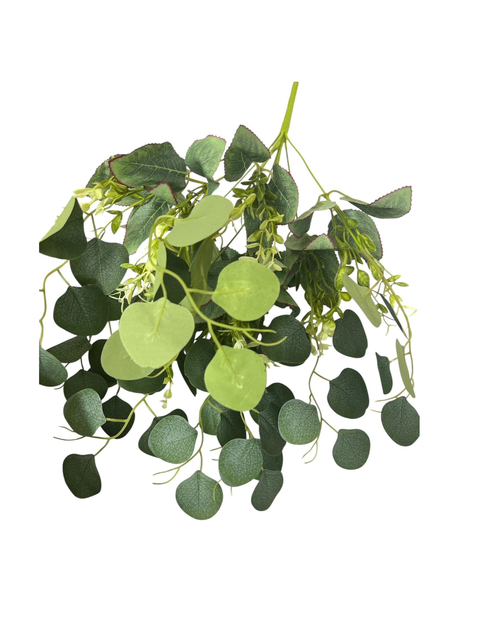 Photoroom_20250623_144836