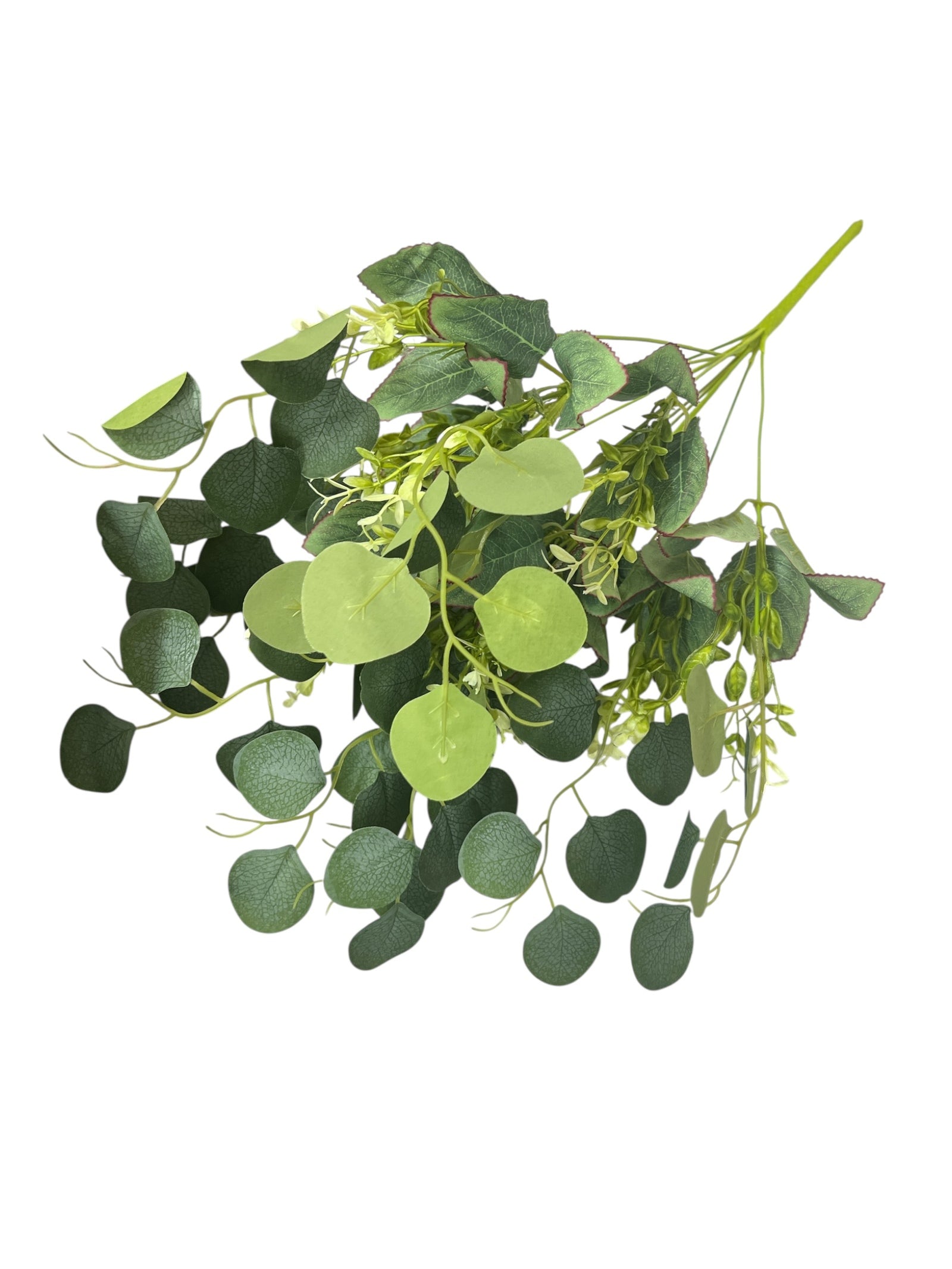 Photoroom_20250623_144906