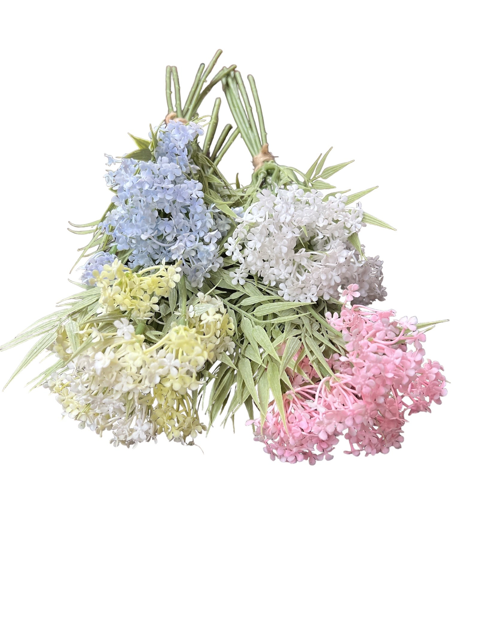 Photoroom_20240709_153933