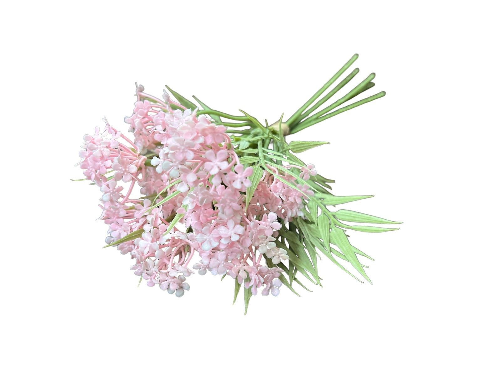 Photoroom_20240709_154928