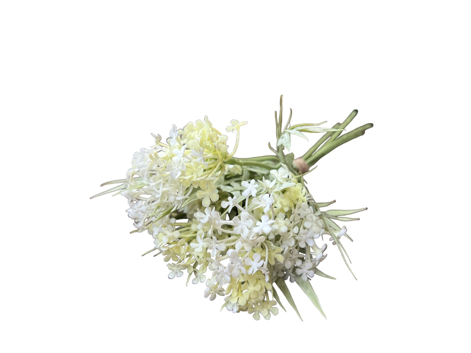 Photoroom_20240709_155008