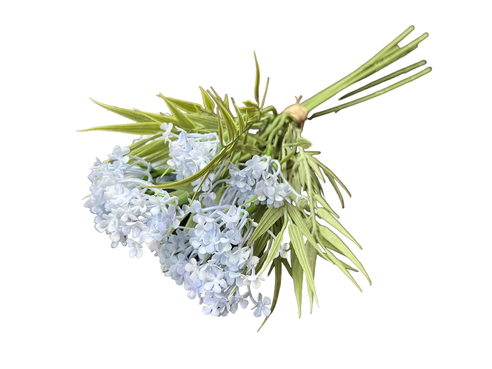 Photoroom_20240709_155124