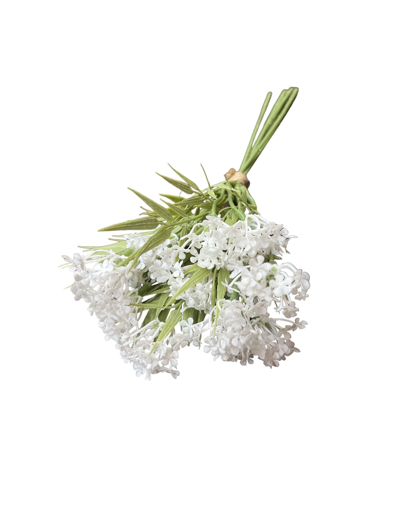 Photoroom_20240709_155205