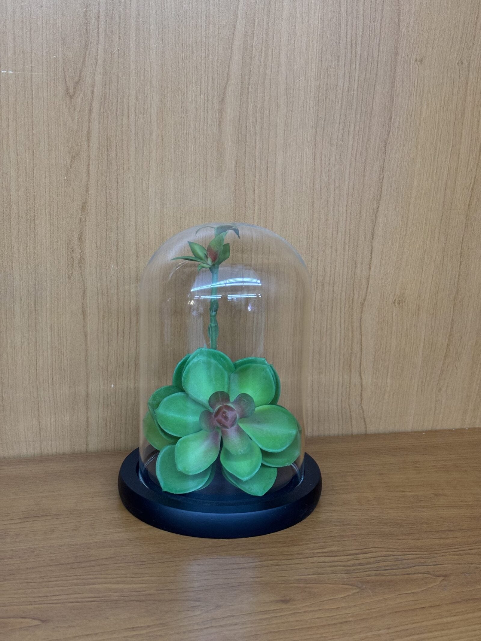 Cupole Sticla Suport Lemn Negru ⌀10cm