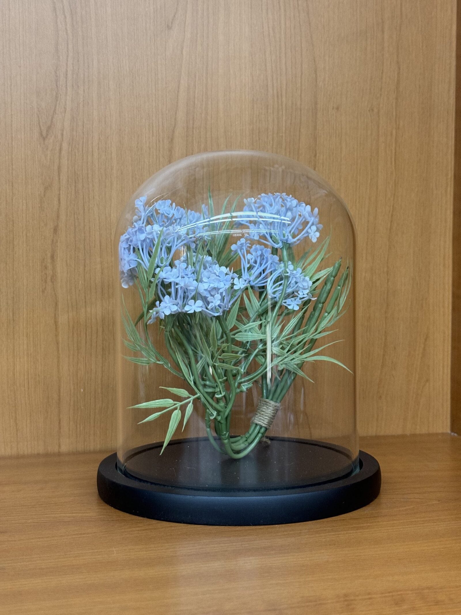 Cupole Sticla Suport Lemn Negru ⌀15cm