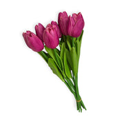 Photoroom_20251209_123443