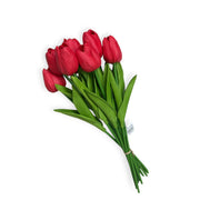 Photoroom_20251209_123049