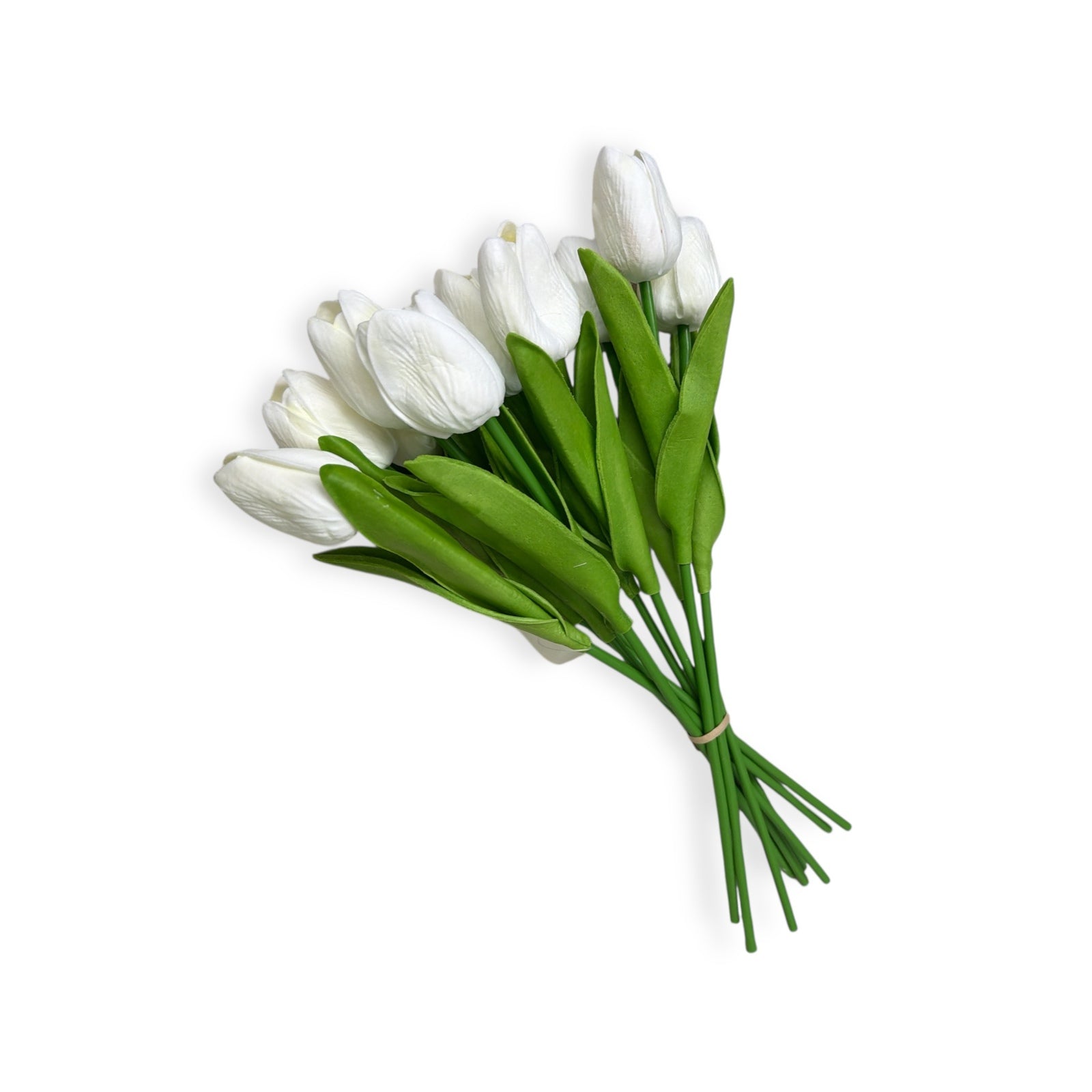 Photoroom_20251209_123619