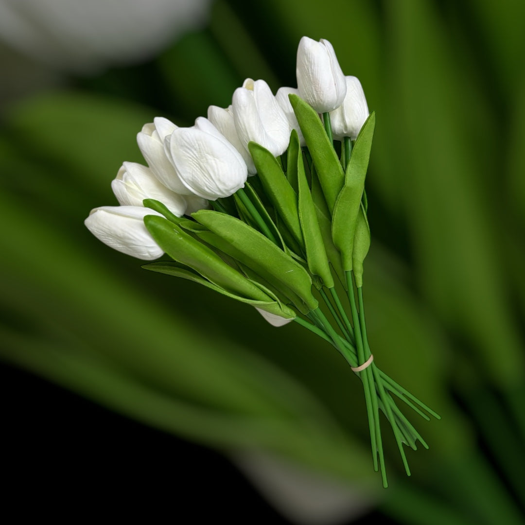 Photoroom_20251209_214803