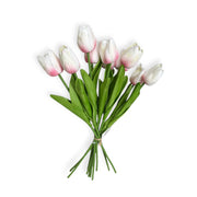 Photoroom_20251209_123728