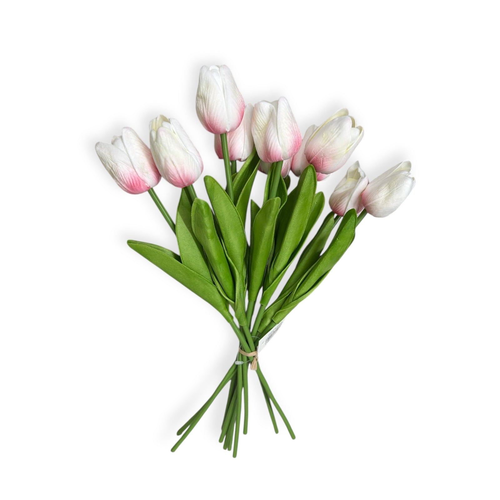 Photoroom_20251209_123728