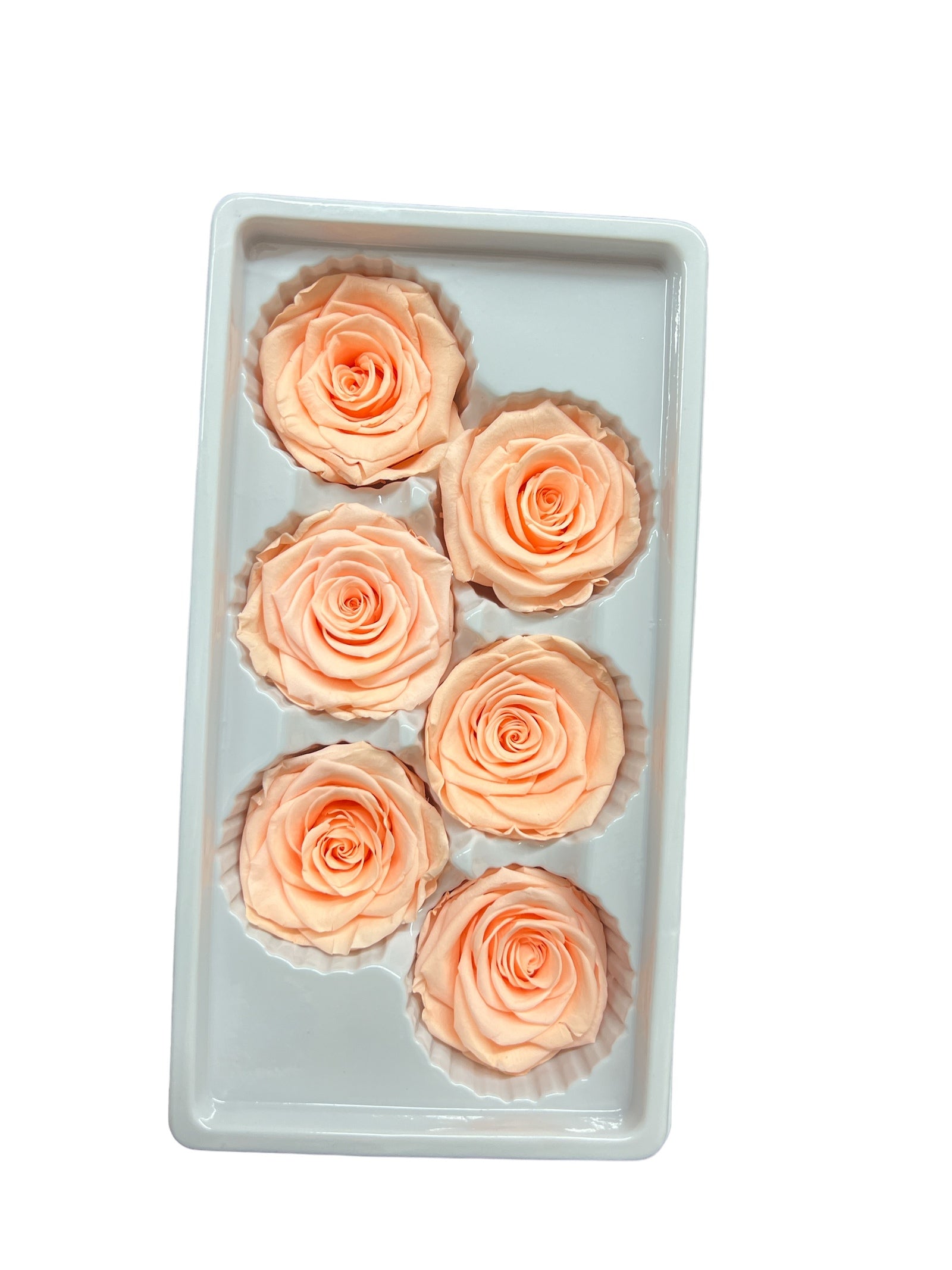 Trandafiri Criogenati 6/set