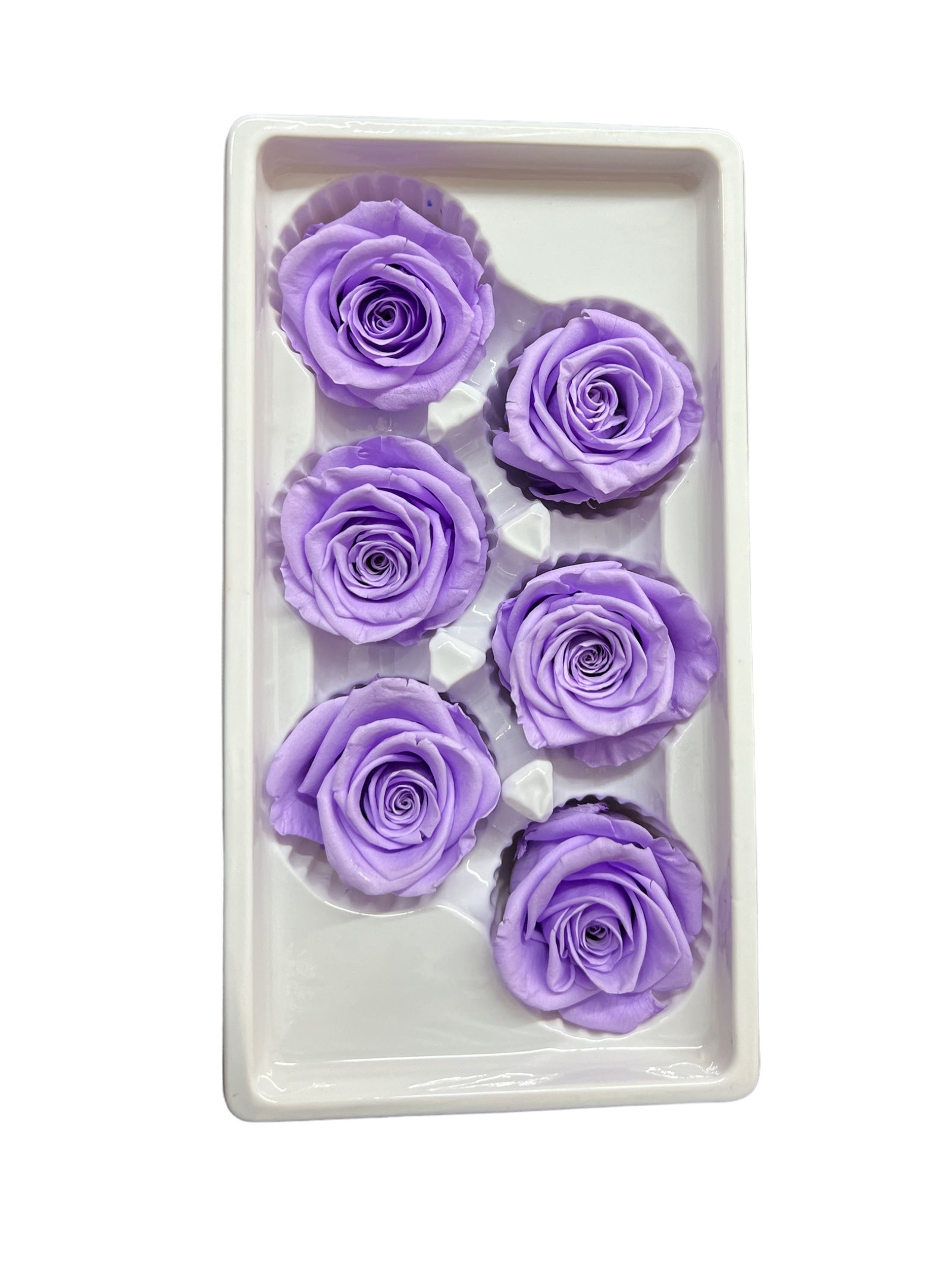 Trandafiri Criogenati 6/set