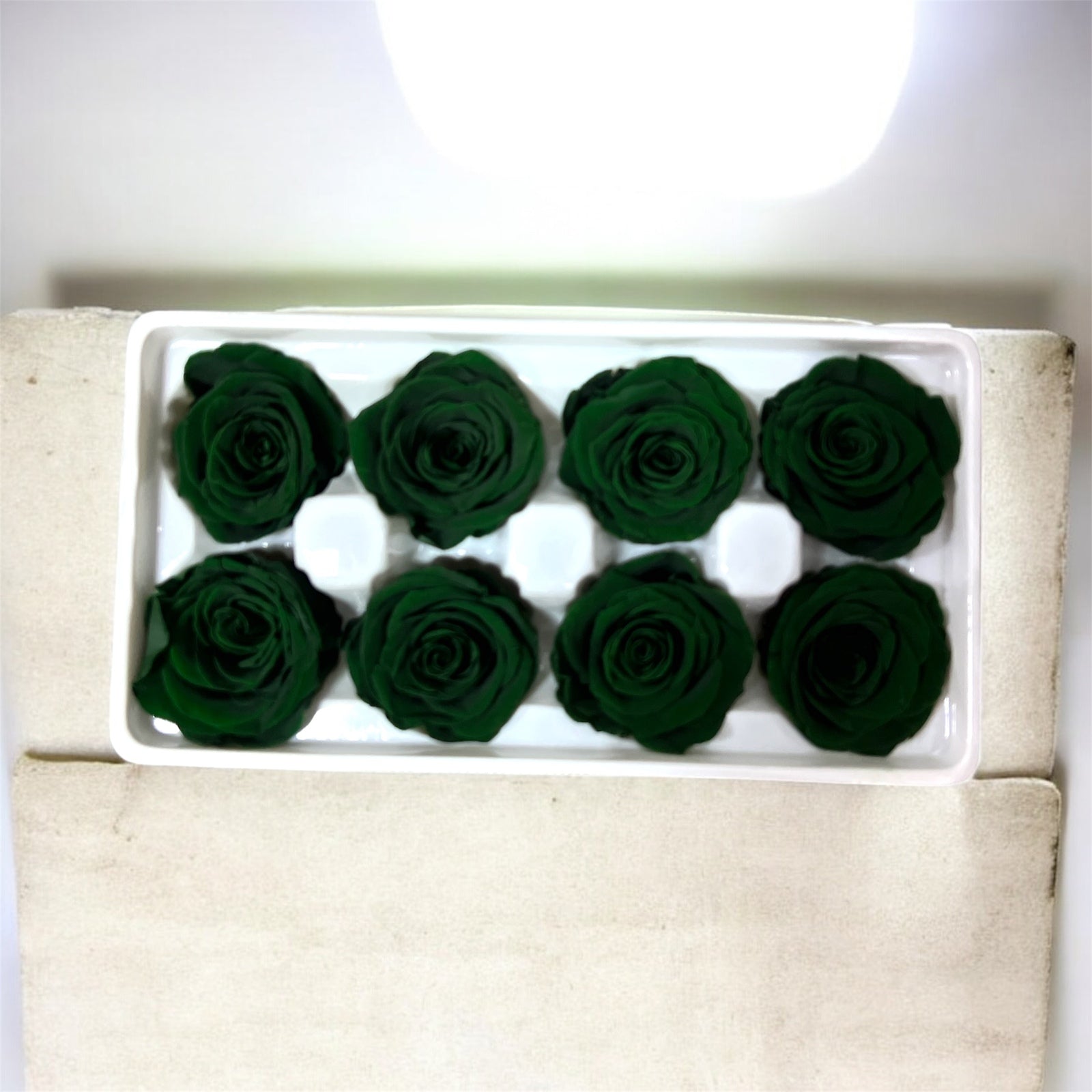 Trandafiri Criogenati 8/set