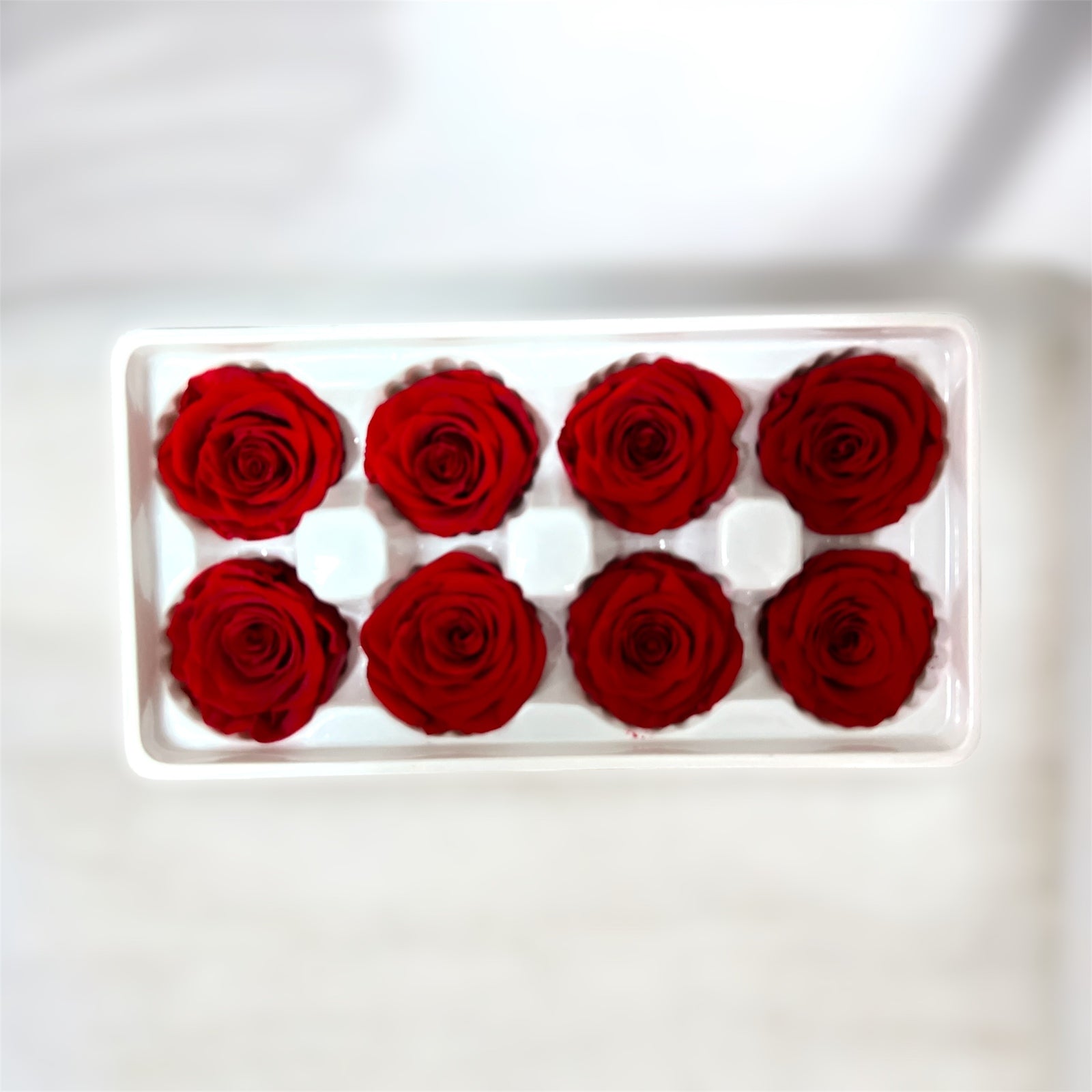 Trandafiri Criogenati 8/set