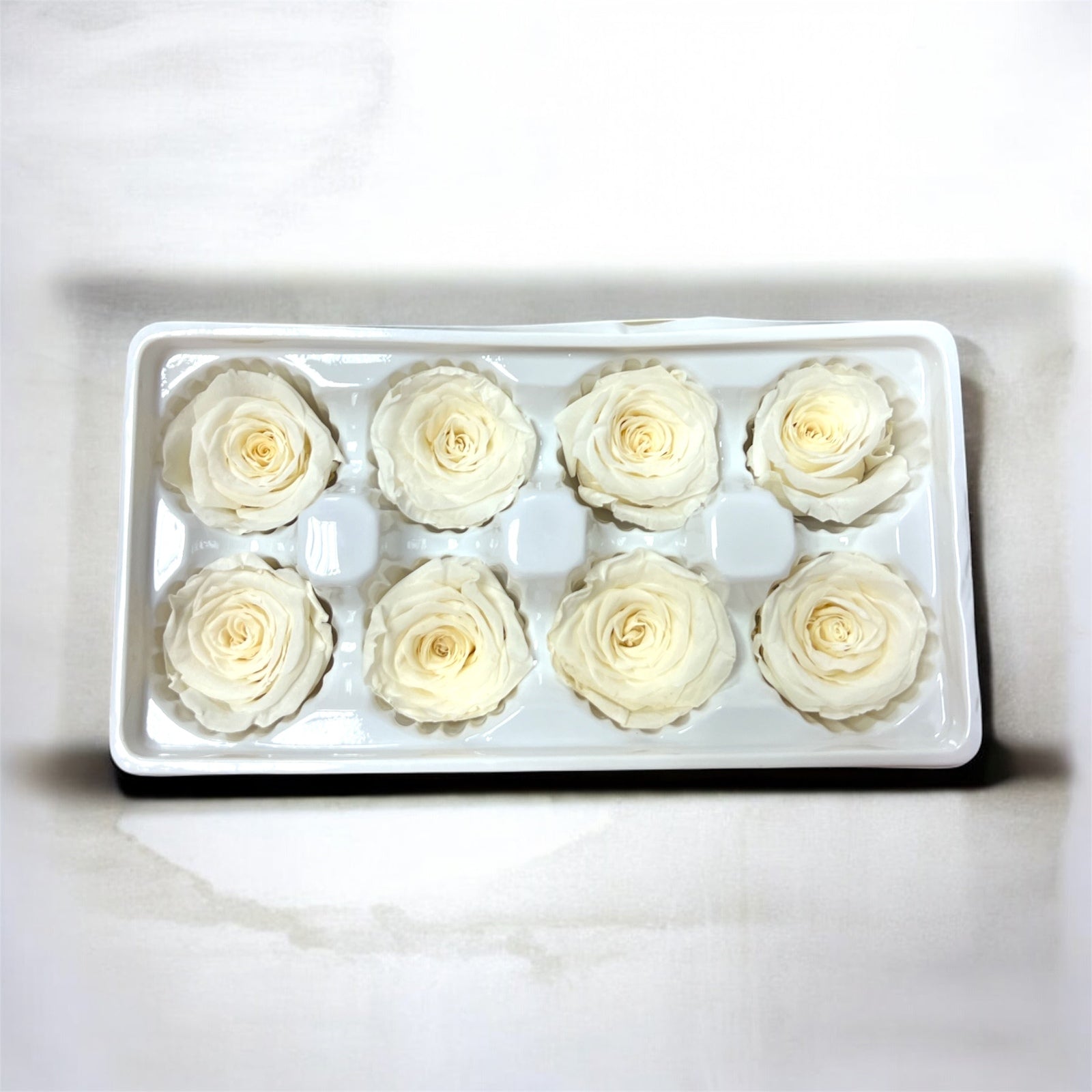 Trandafiri Criogenati 8/set