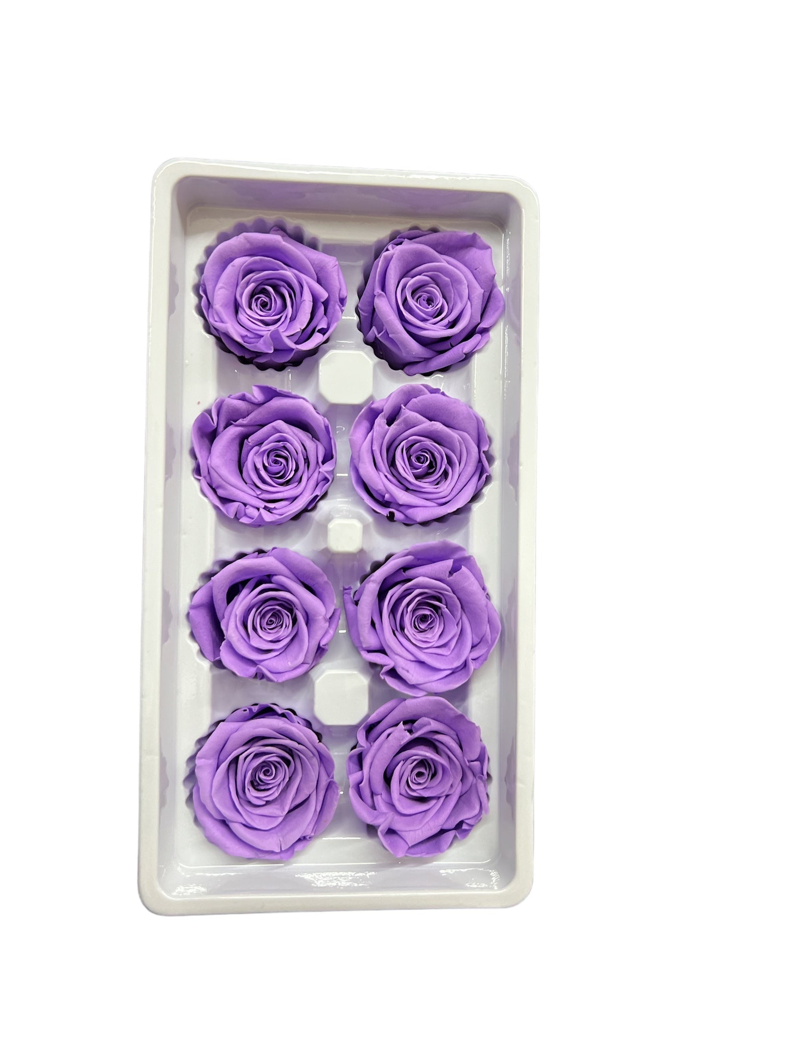 Trandafiri Criogenati 8/set