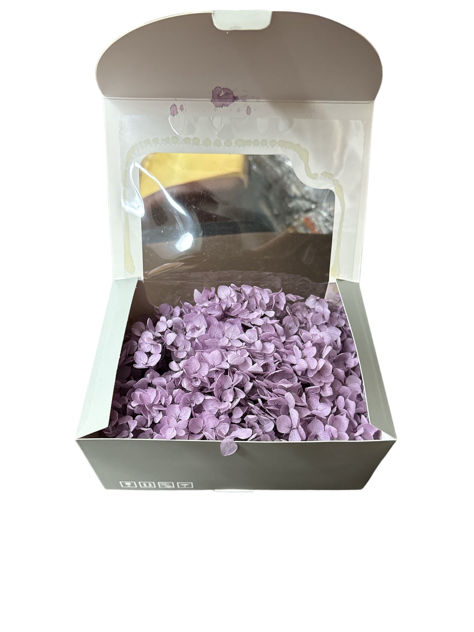 Hortensii Criogenate