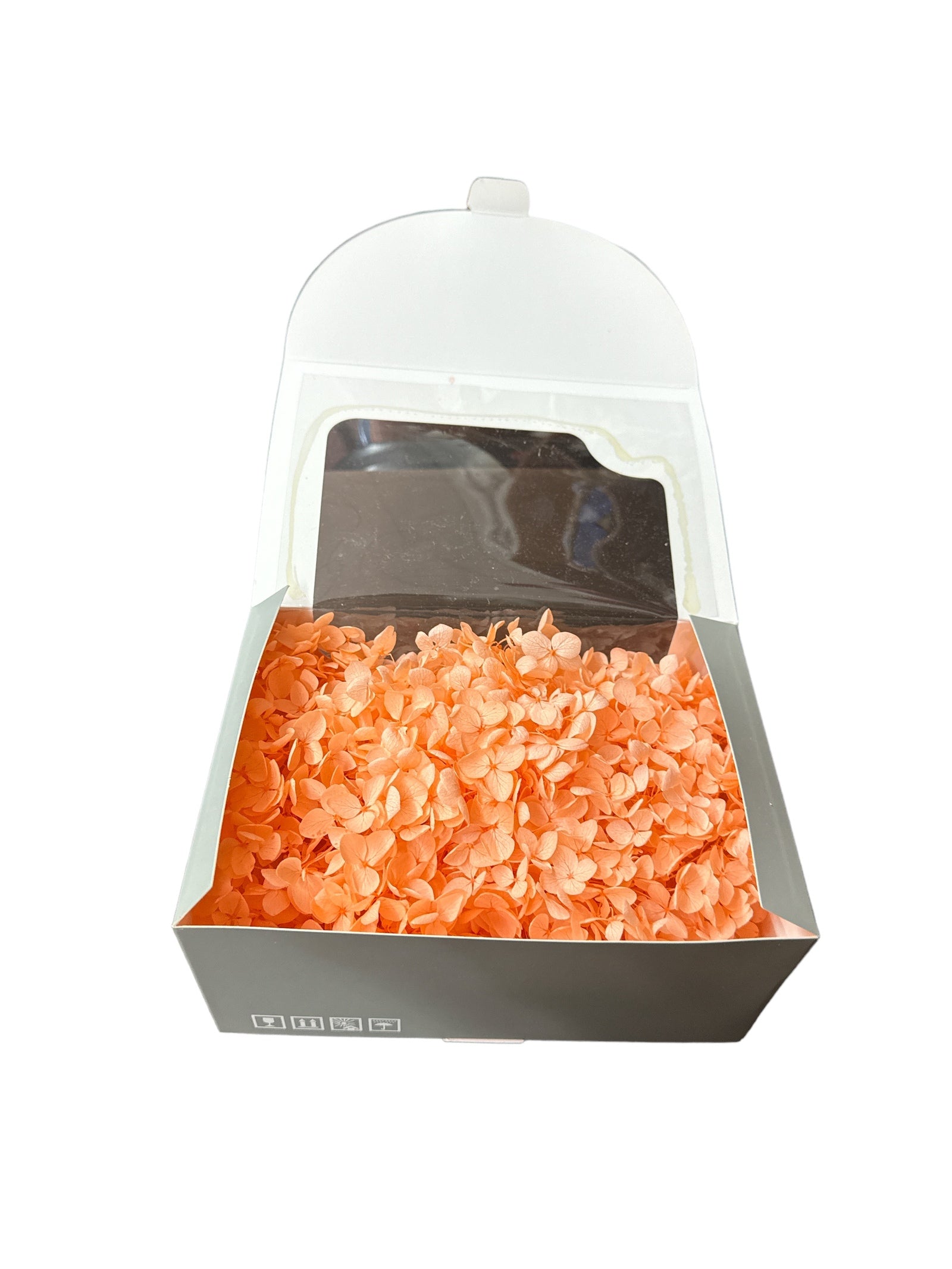 Hortensii Criogenate