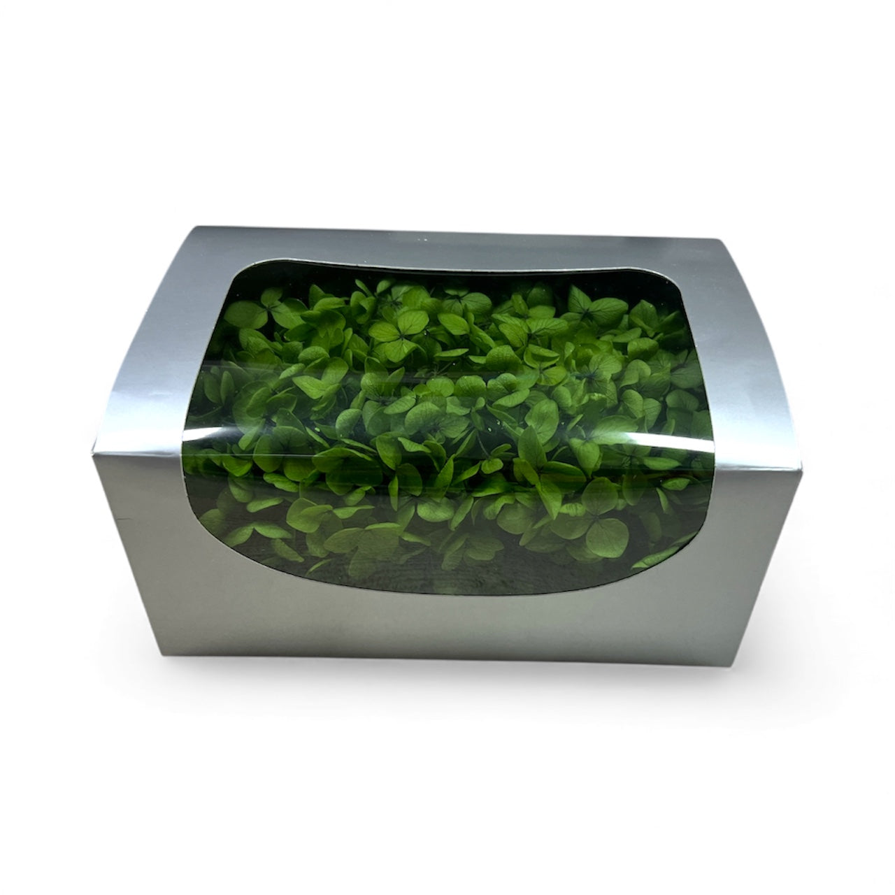 Hortensii Criogenate