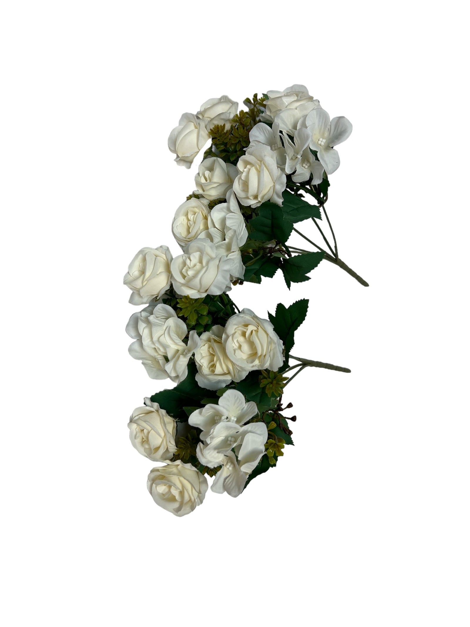 Photoroom_20240816_144218