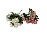 Photoroom_20240816_144359