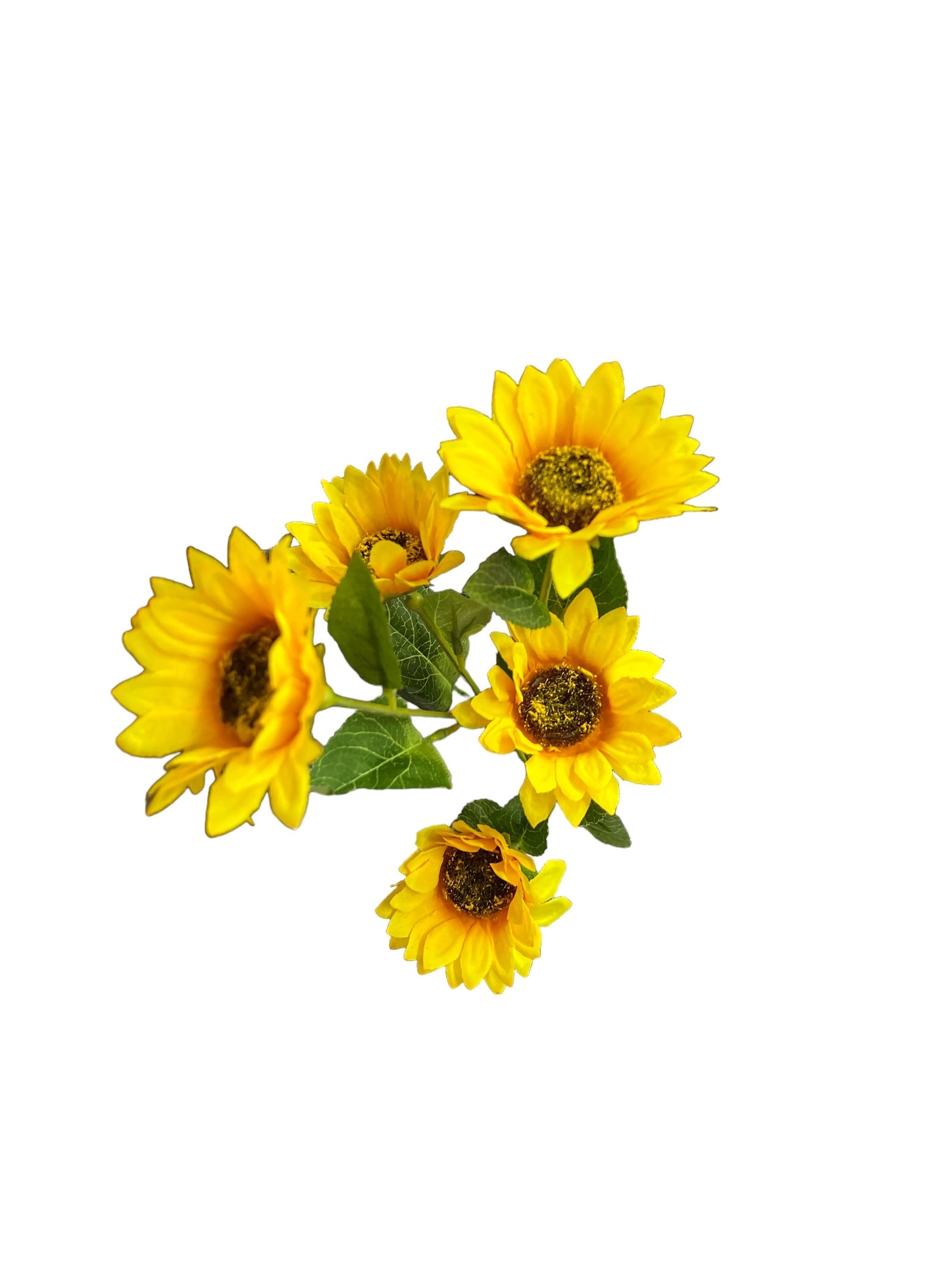 Photoroom_20240425_125710