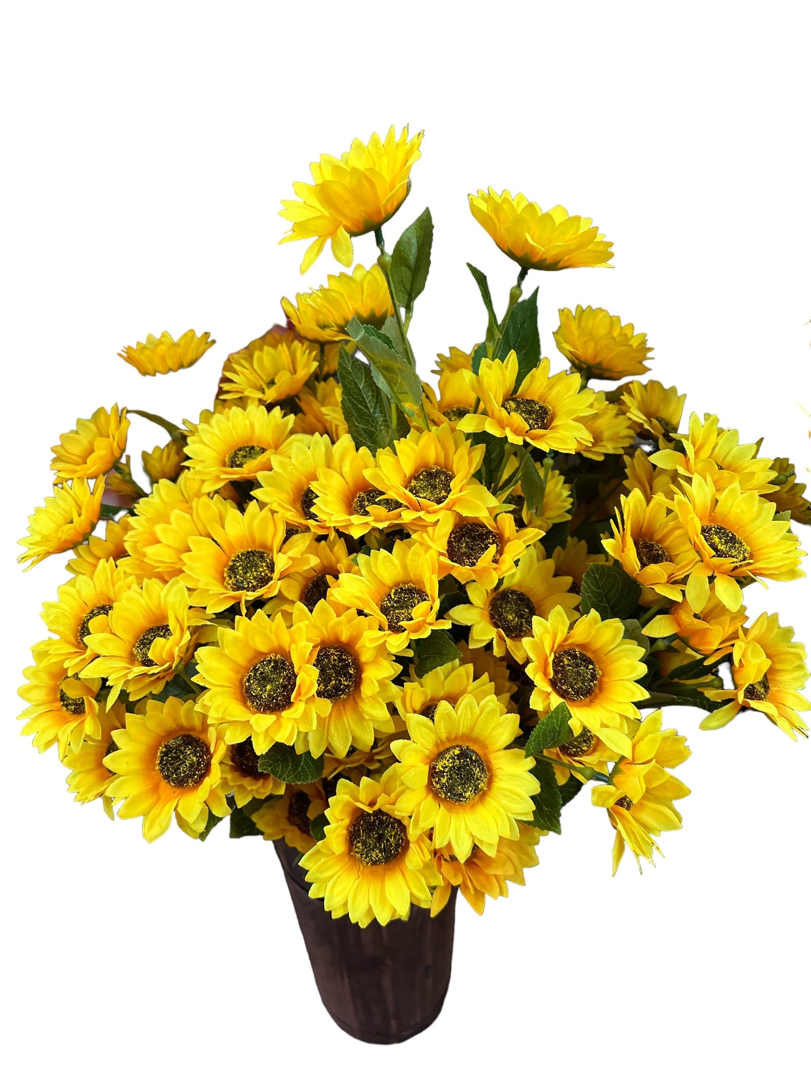 Photoroom_20240425_130017