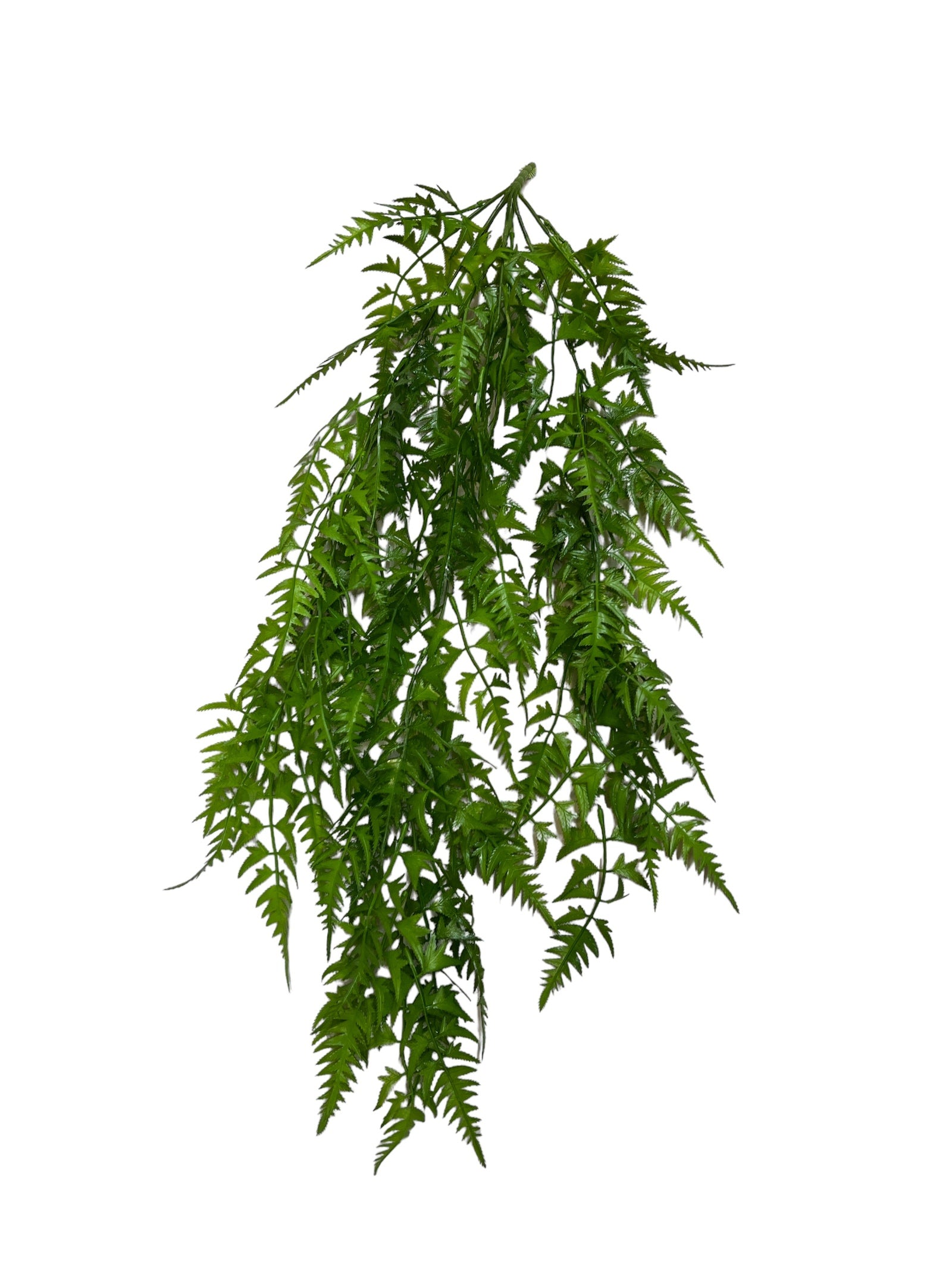 Photoroom_20240425_130840