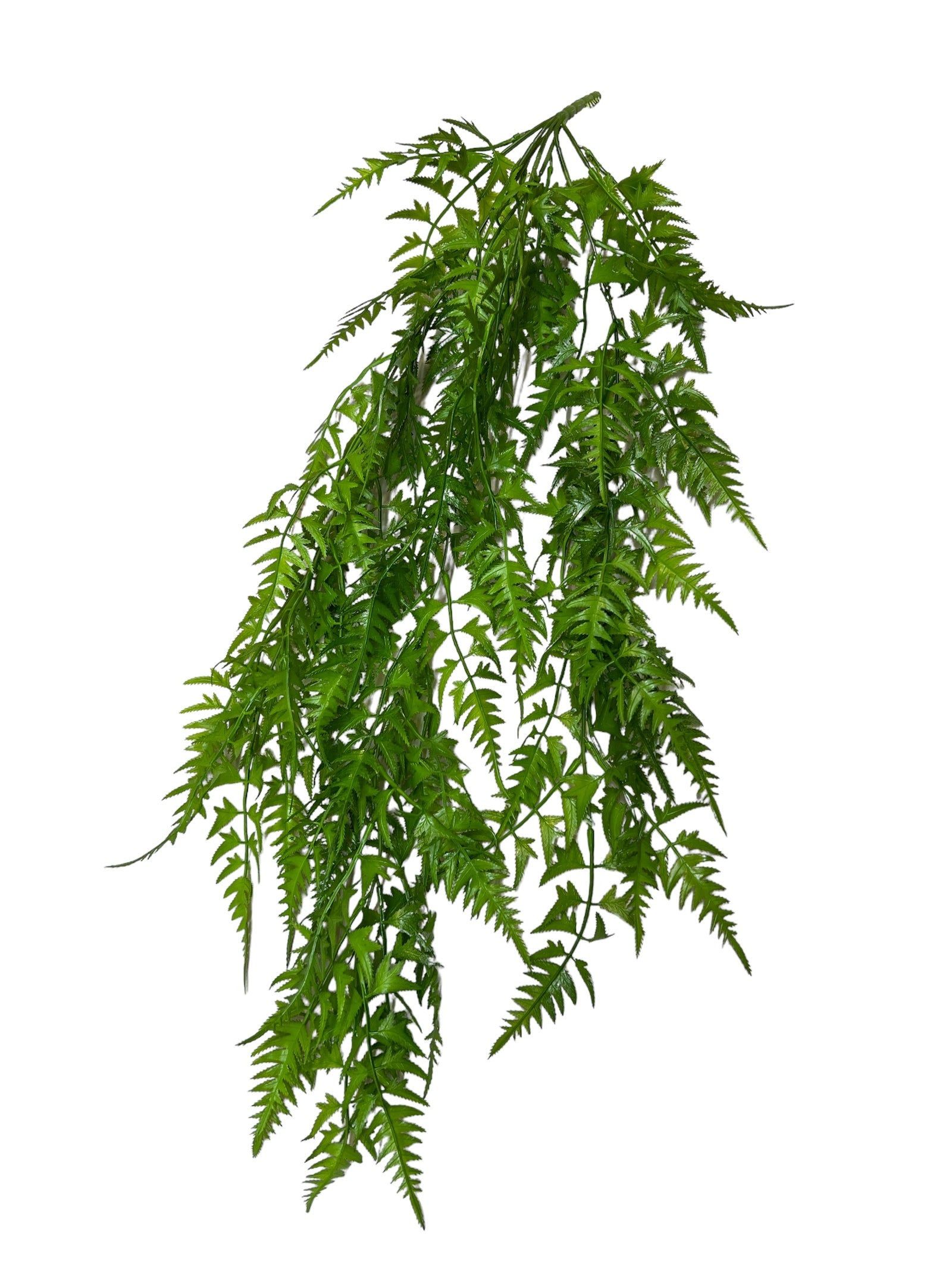 Photoroom_20240425_130902