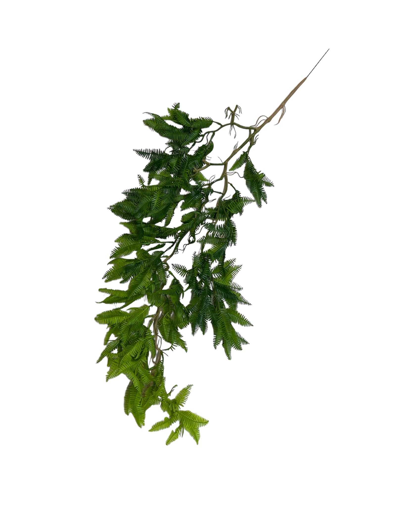 Photoroom_20240425_130632