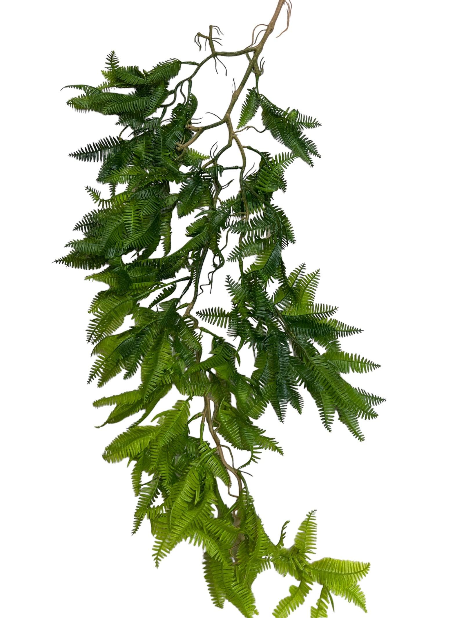 Photoroom_20240425_130653