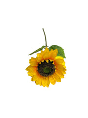 Photoroom_20240523_143737