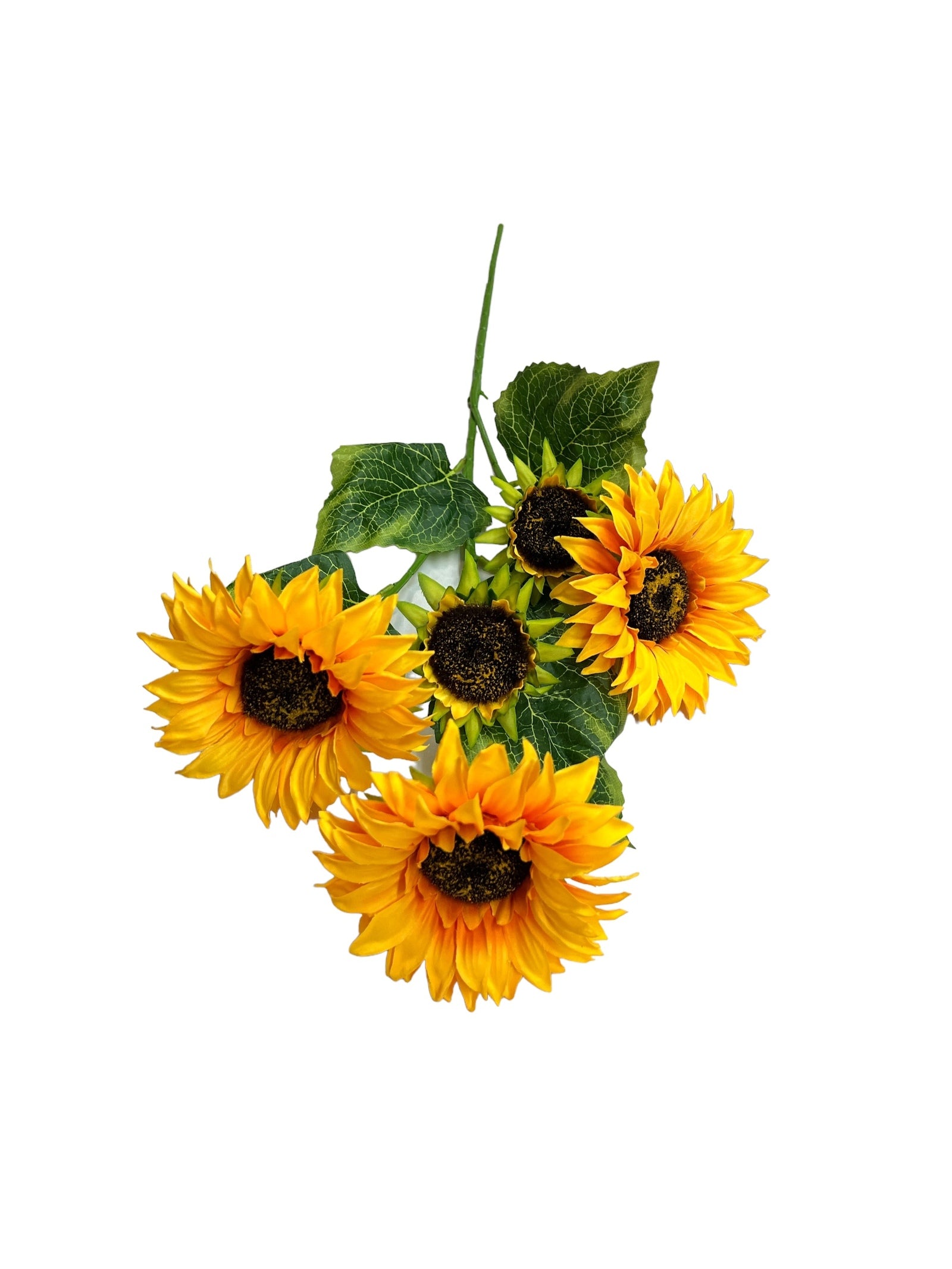 Photoroom_20240523_143919