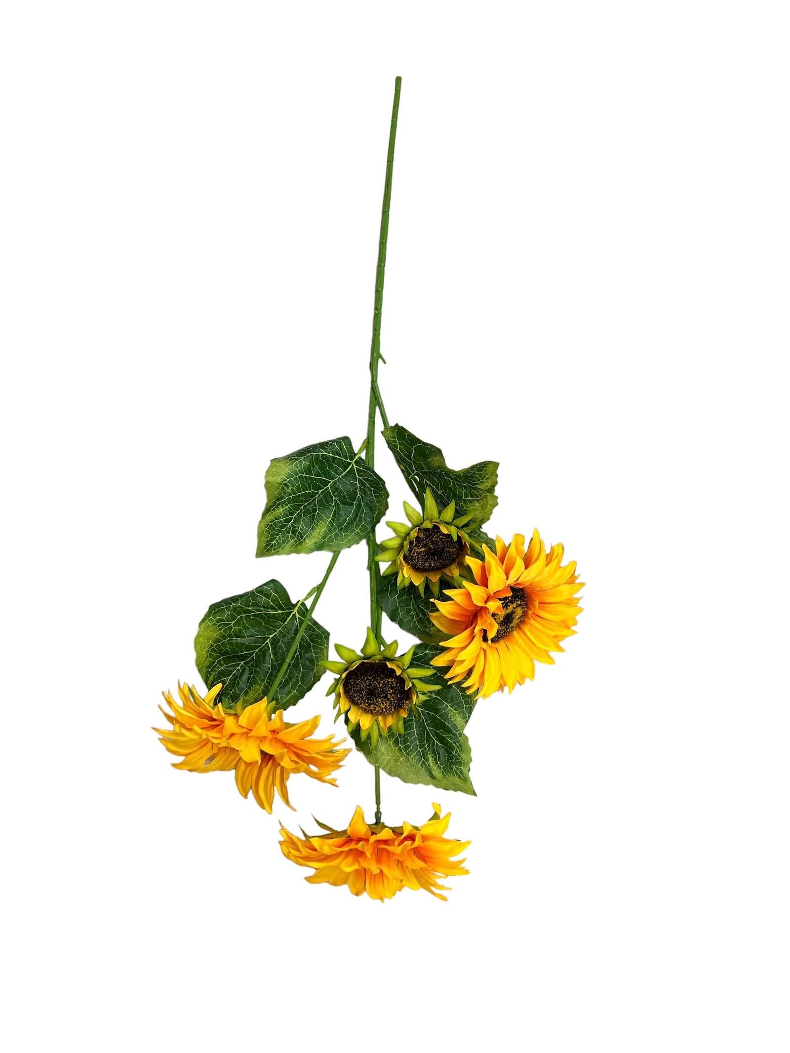 Photoroom_20240523_143942