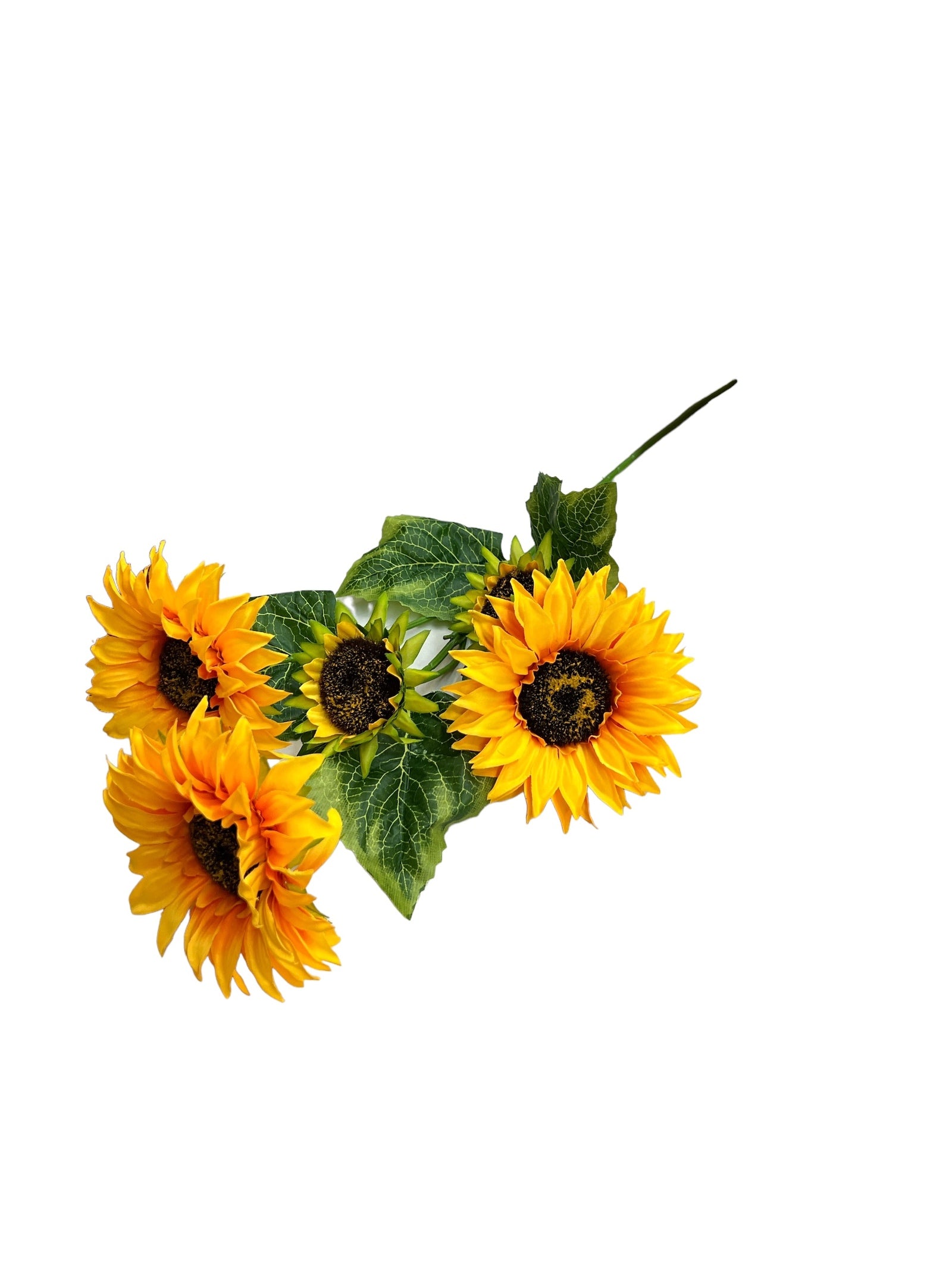 Photoroom_20240523_144002