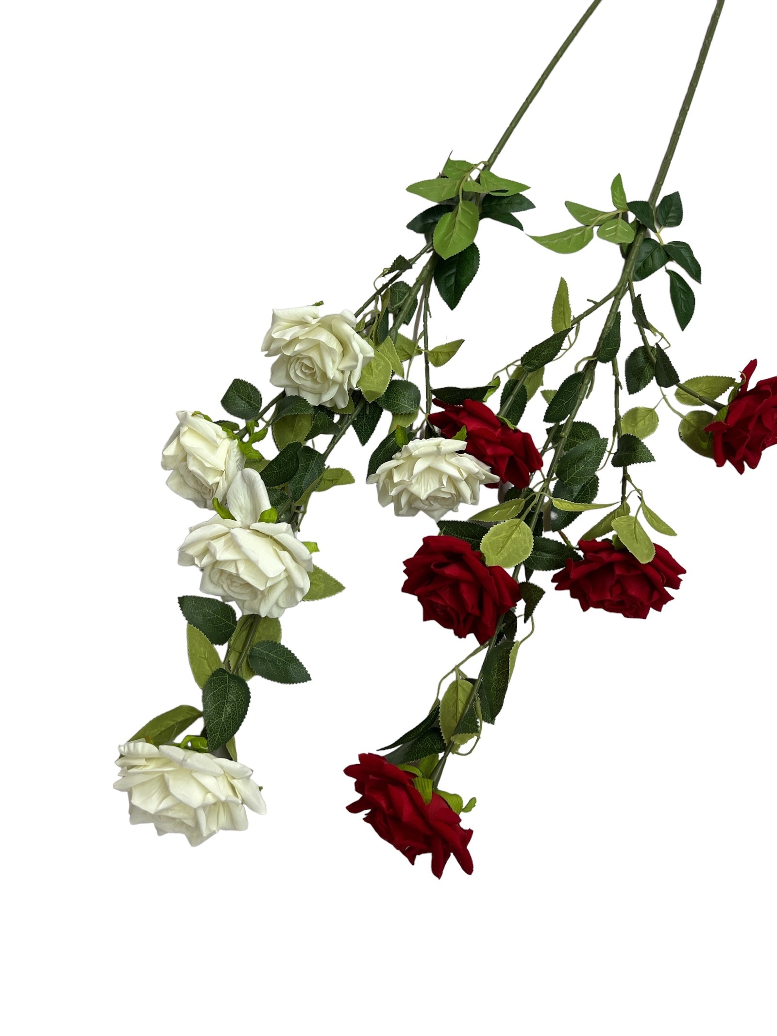 Photoroom_20240523_151449