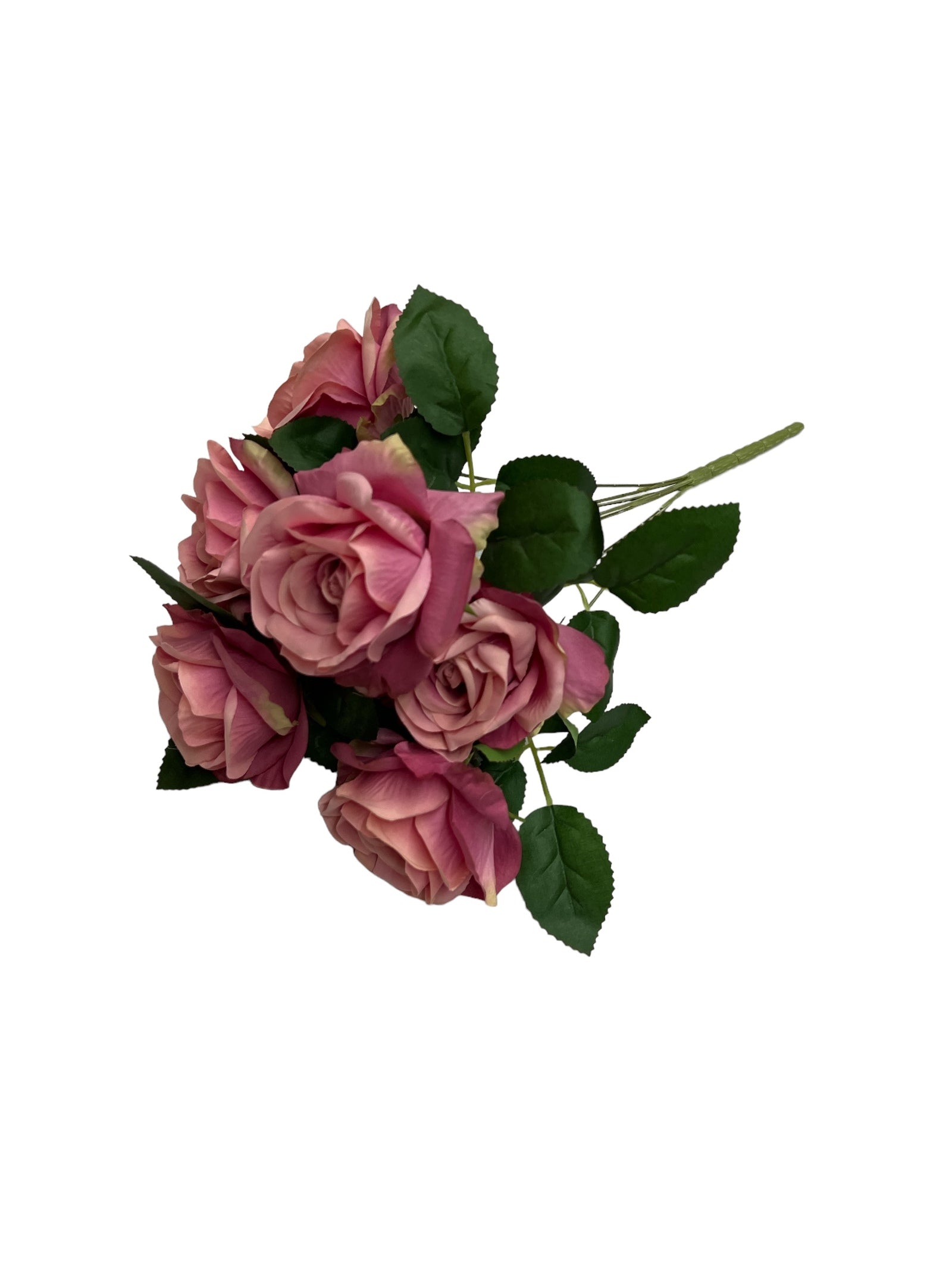 Photoroom_20240523_145922