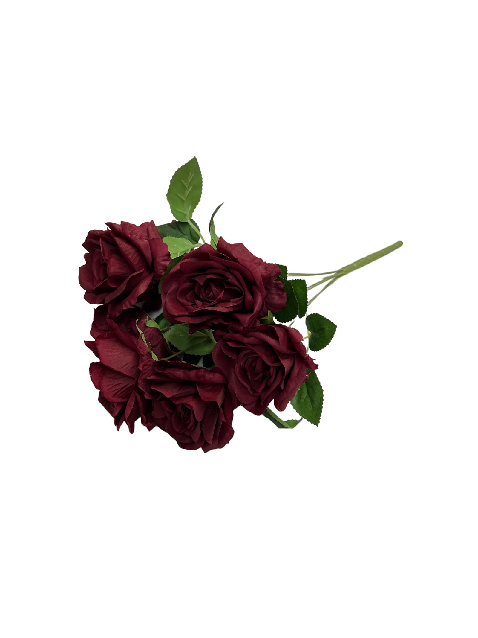 Photoroom_20240523_150121