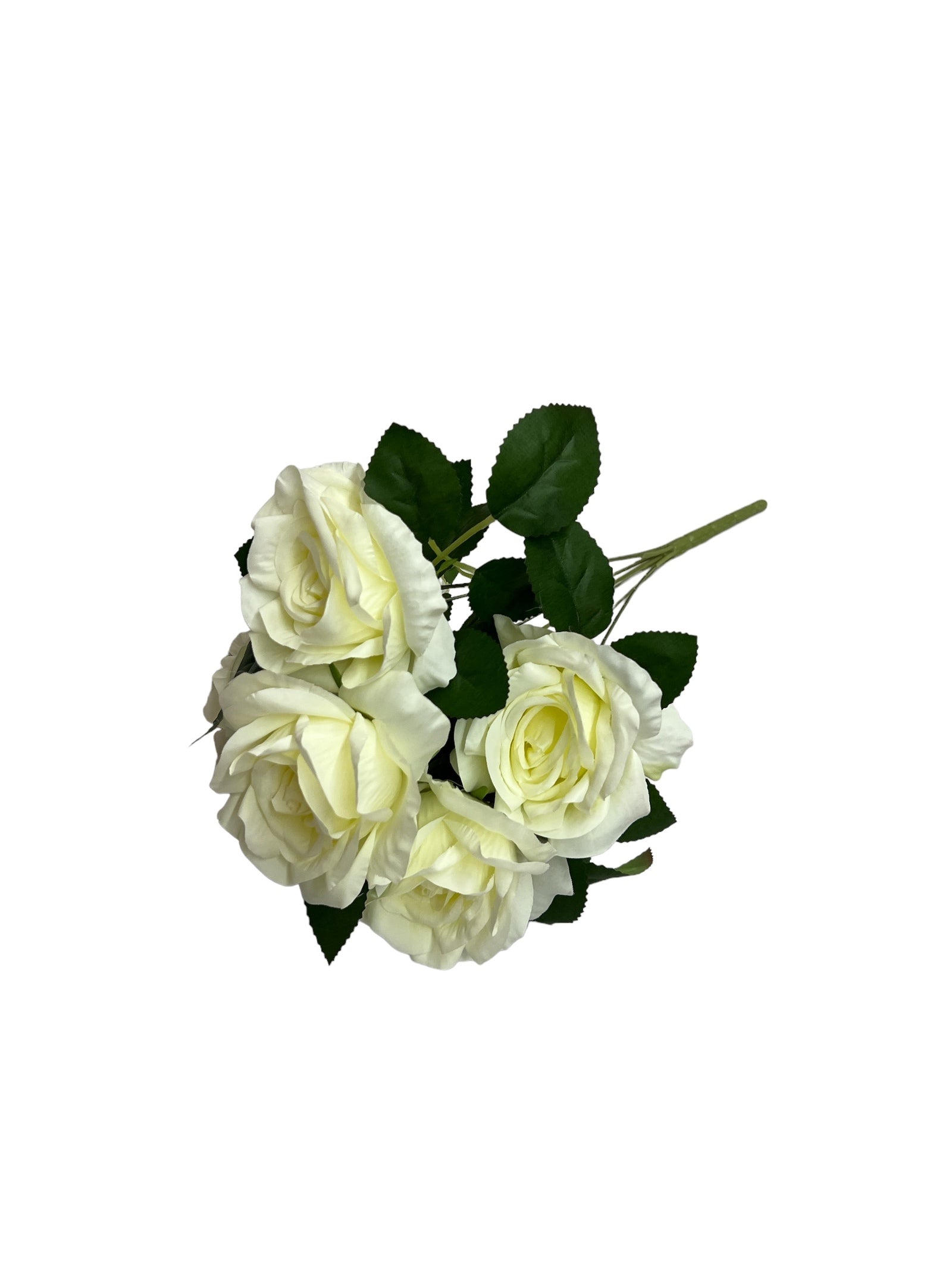 Photoroom_20240523_150147